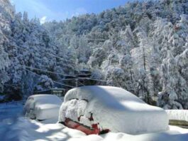 Jammu-Kashmir-Snowfall