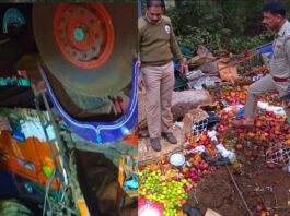 Karnataka-Road-Acciden