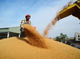 union-minister-praised-rajasthan-wheat-preparations