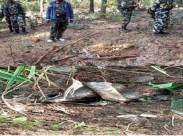 naxalites-failed-in-bijapur