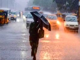 rajasthan-rain