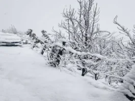 himachal-weather-update-valleys-covered-with-white-sheet